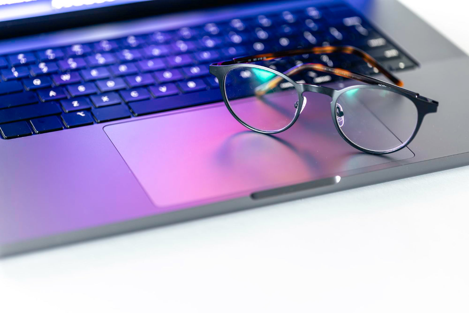 TED SMITH COMPUTER GLASSES