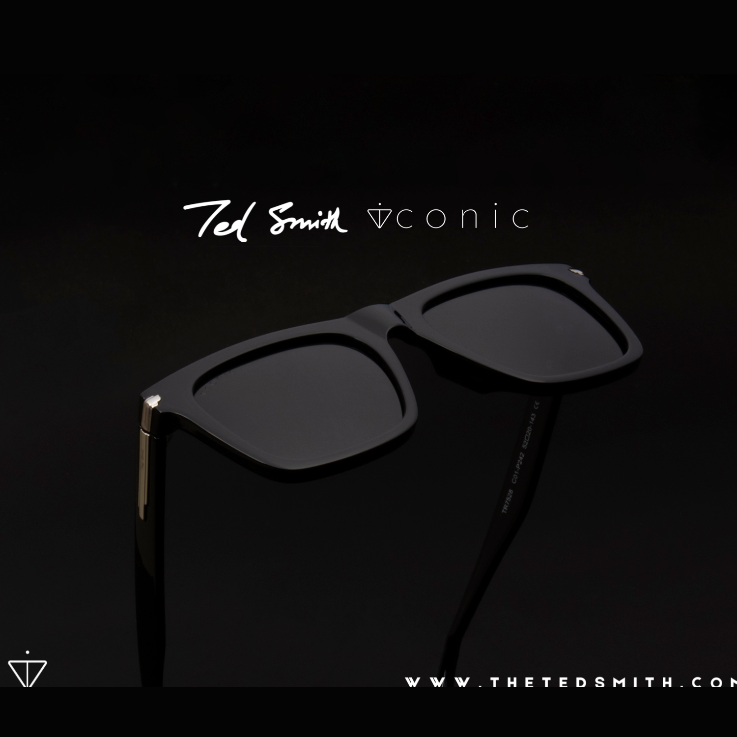 ICONIC SUNGLASSES