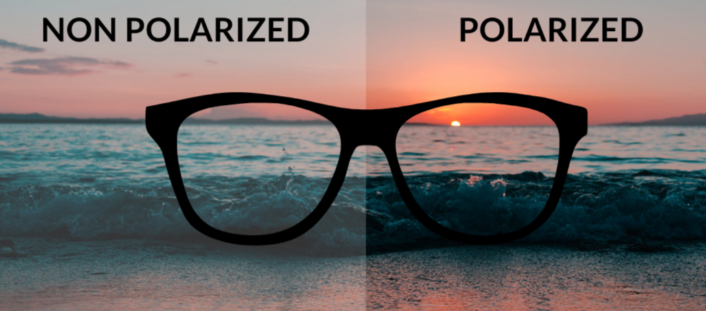 POLARIZED