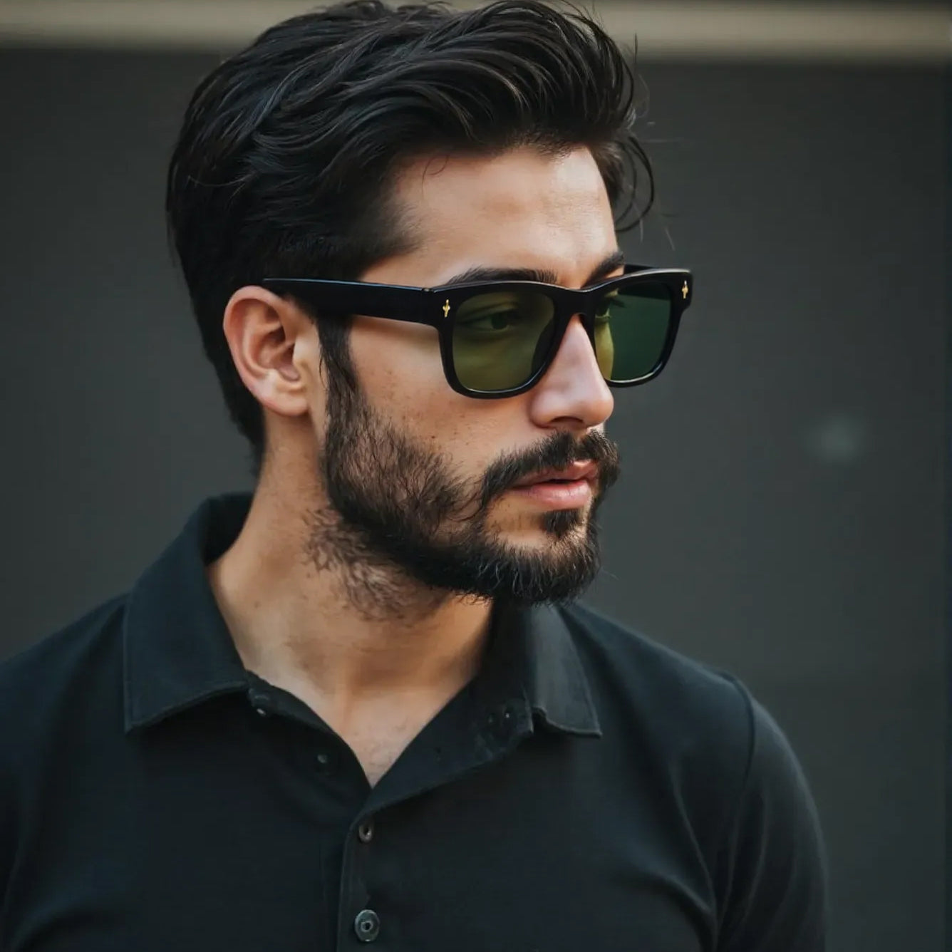 SUN-LORENZO UNISEX WAYFARER ACETATE SUNGLASSES WITH POLARIZED LENS BY TED SMITH (IN 4 COLORS)