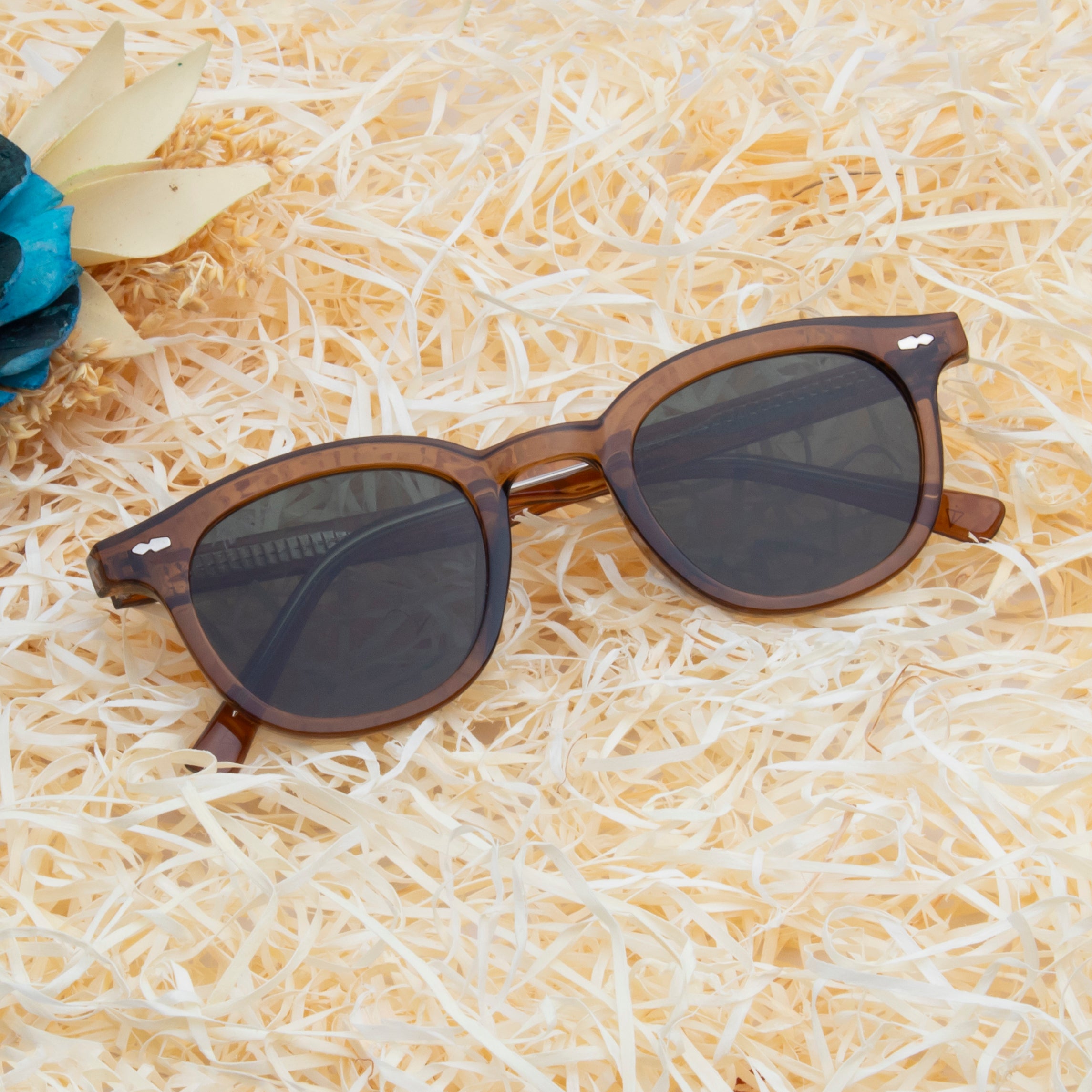 GLANCE SUNGLASSES BY TED SMITH ICONIC (IN 3 COLORS) – Ted Smith