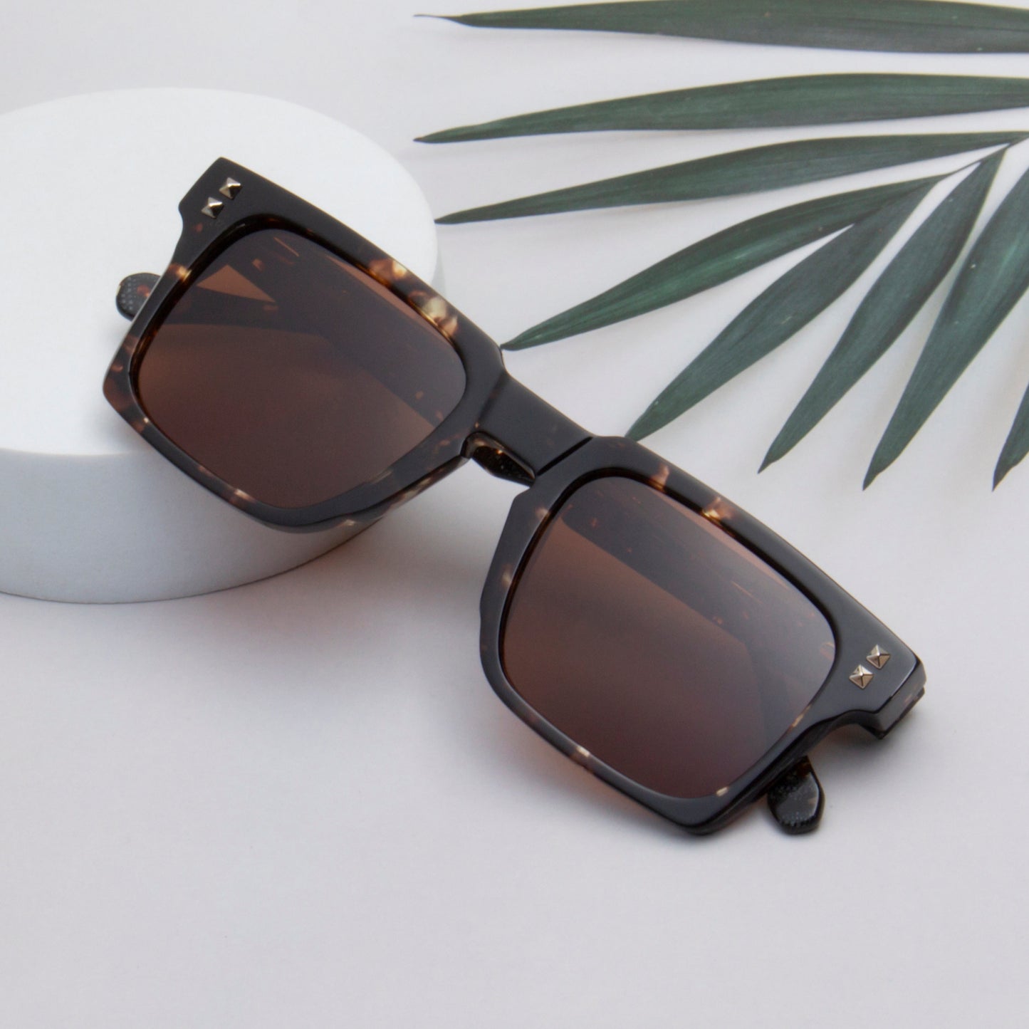 SUN-ALICE UNISEX SQUARE ACETATE SUNGLASSES WITH POLARIZED LENS BY TED SMITH (IN 4 COLORS)