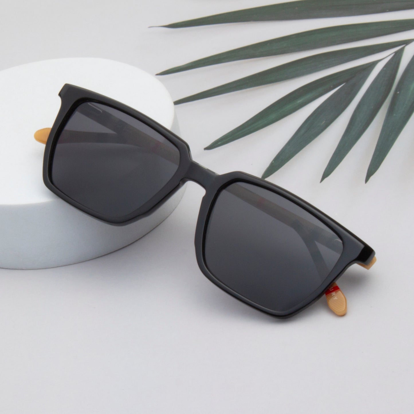 SUN-HARVEY UNISEX WAYFARER ACETATE SUNGLASSES WITH POLARIZED LENS BY TED SMITH (IN 6 COLORS)