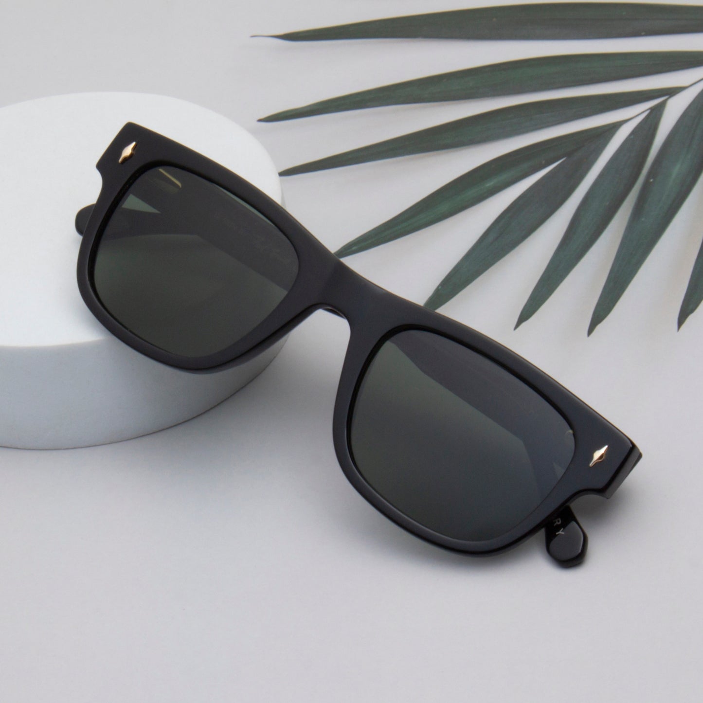 SUN-LORENZO UNISEX WAYFARER ACETATE SUNGLASSES WITH POLARIZED LENS BY TED SMITH (IN 4 COLORS)