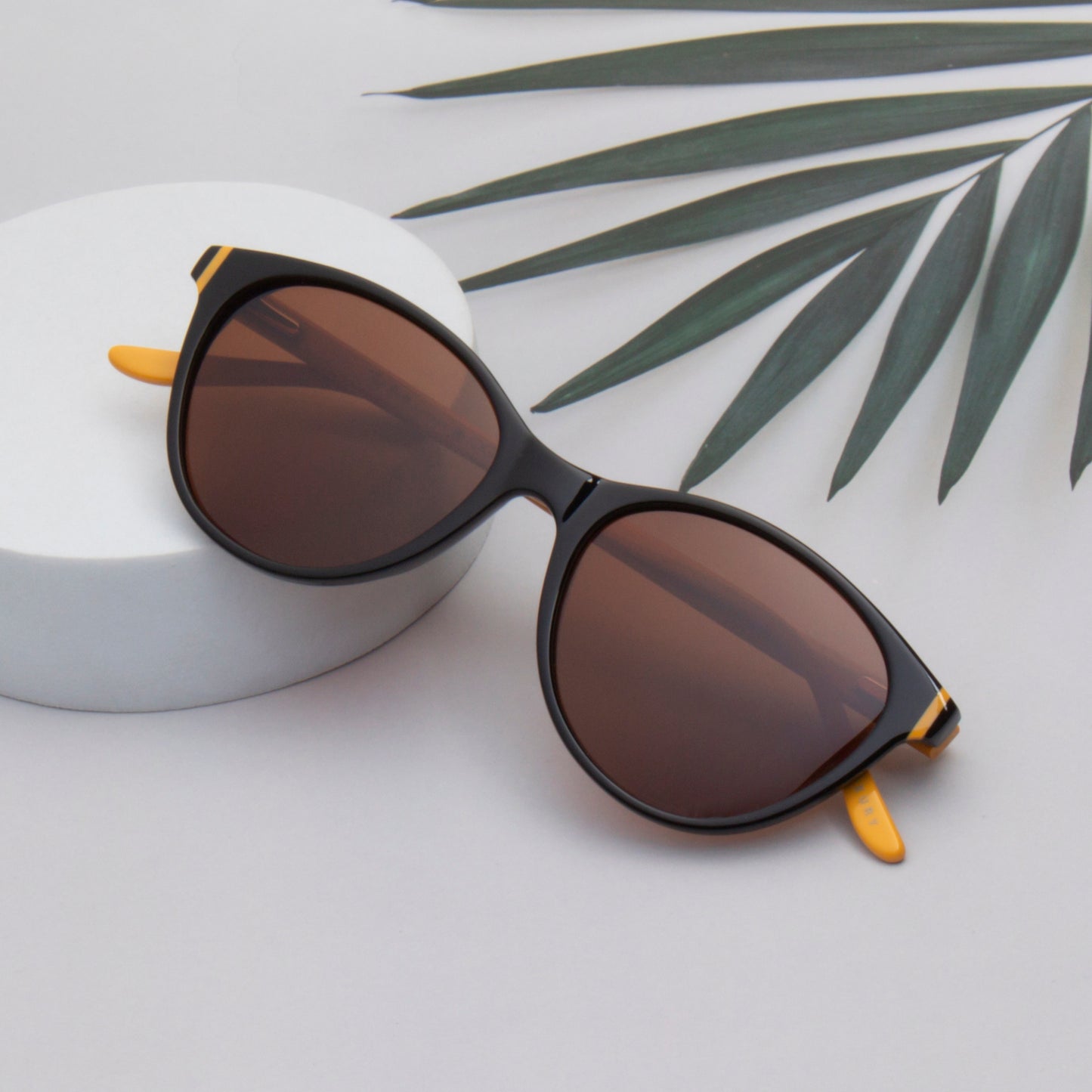 SUN-SCARLET WOMEN CAT EYE ACETATE SUNGLASSES WITH POLARIZED LENS BY TED SMITH (IN 6 COLORS)