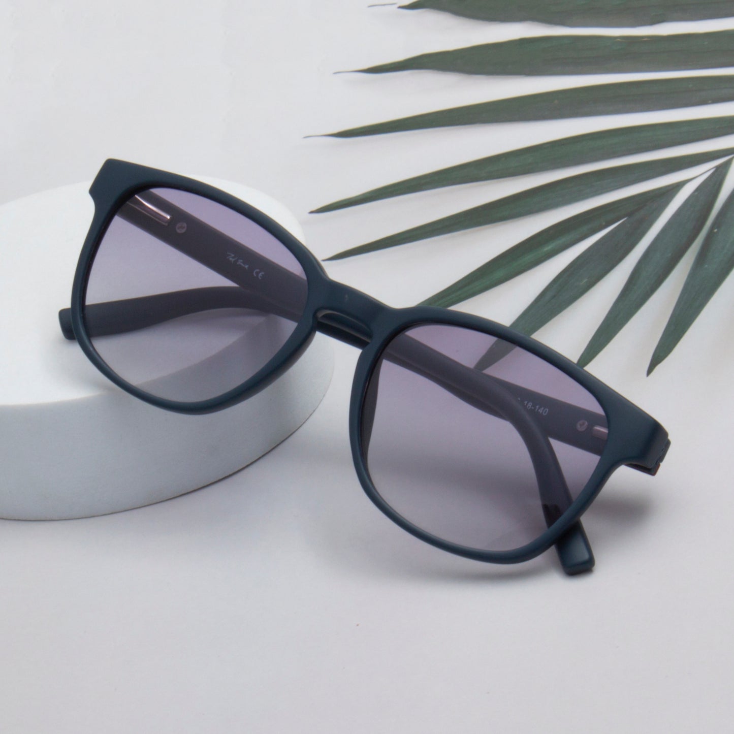 SUN-BRYDEN UNISEX WAYFARER TR90 SUNGLASSES WITH POLARIZED LENS BY TED SMITH (IN 4 COLORS)