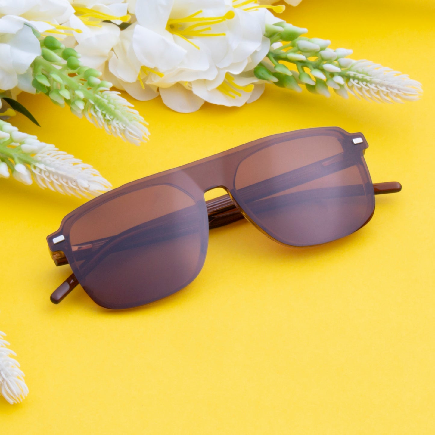 DALES UNISEX AVIATOR ACETATE CLIPON SUNGLASSES WITH POLARIZED LENS BY TED SMITH (IN 4 COLORS)