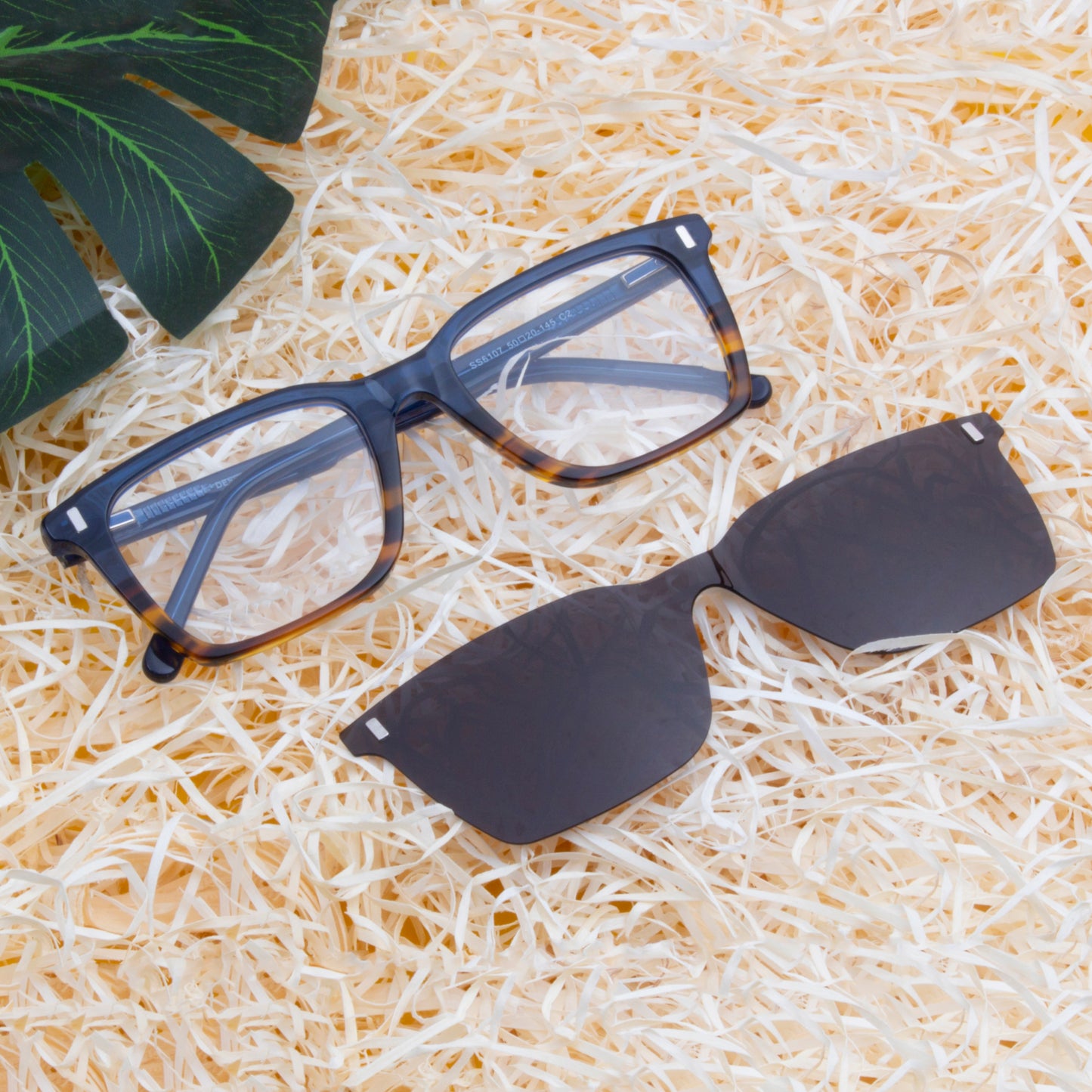 ALEC UNISEX WAYFARER ACETATE CLIPON SUNGLASSES WITH POLARIZED LENS BY TED SMITH (IN 3 COLORS)