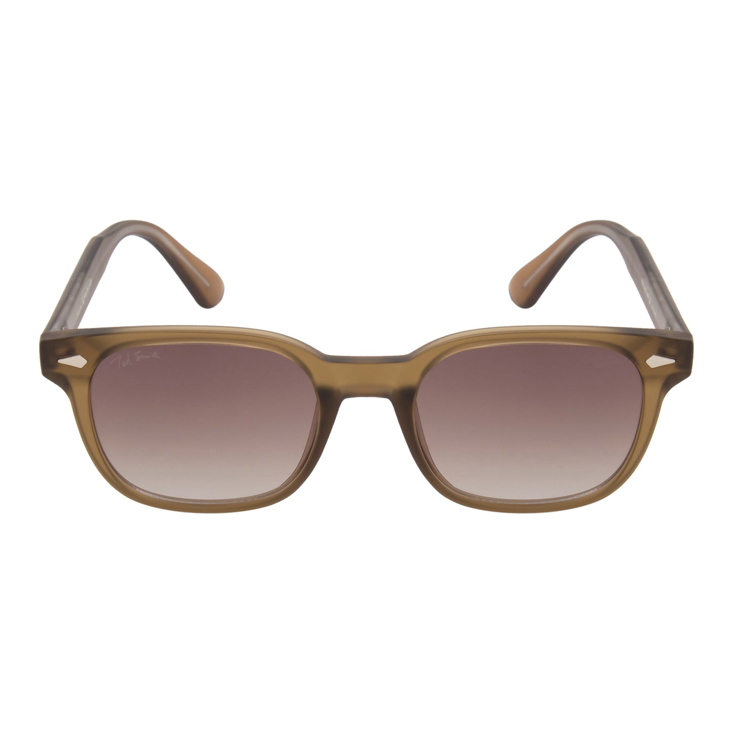 STEWIE SUNGLASSES BY TED SMITH ICONIC (IN 4 COLORS)