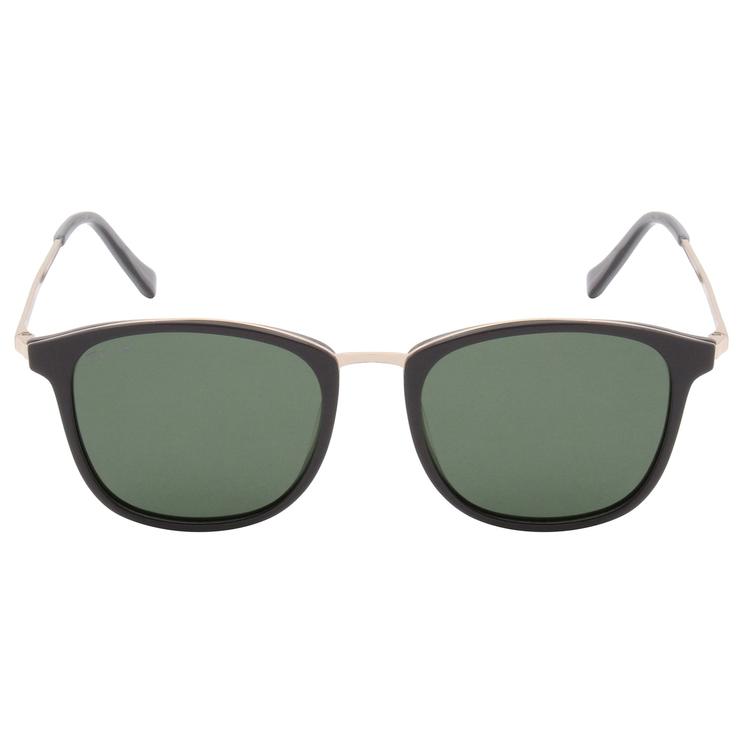 BRIAN ONE SUNGLASS