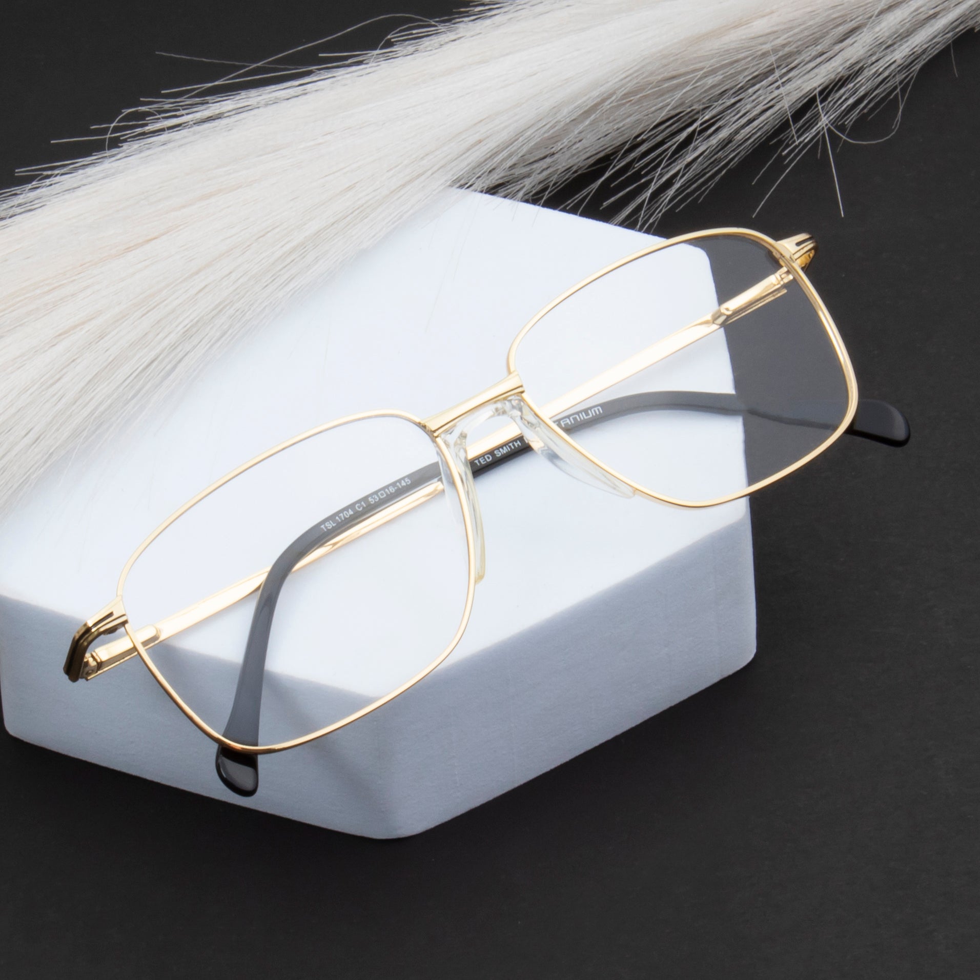 Buy Titanium Eyeglasses for Men Women Online โ Ted Smith