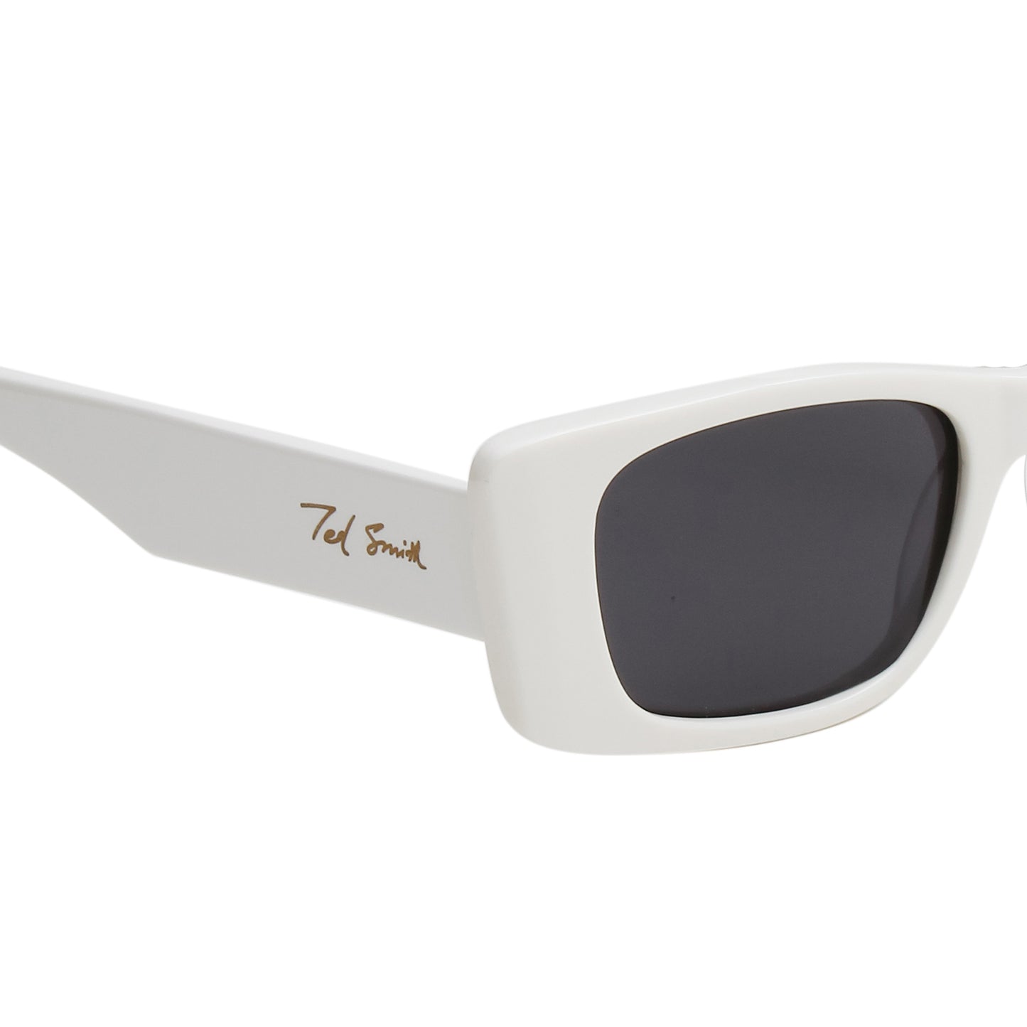SUN-CHOCOEYE 2.0 UNISEX RECTANGLE ACETATE SUNGLASSES WITH POLARIZED LENS BY TED SMITH (IN 6 COLORS)