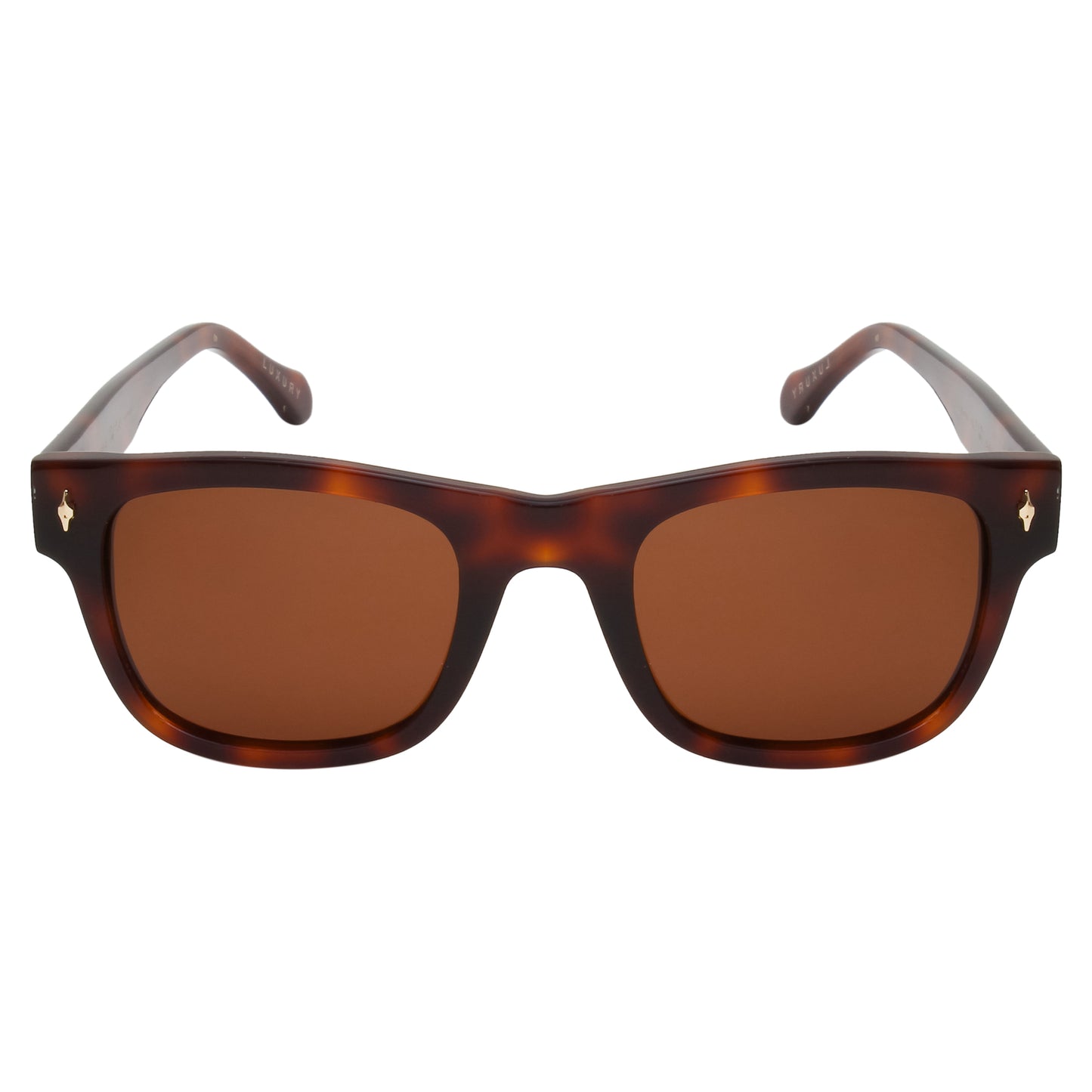 SUN-LORENZO UNISEX WAYFARER ACETATE SUNGLASSES WITH POLARIZED LENS BY TED SMITH (IN 4 COLORS)