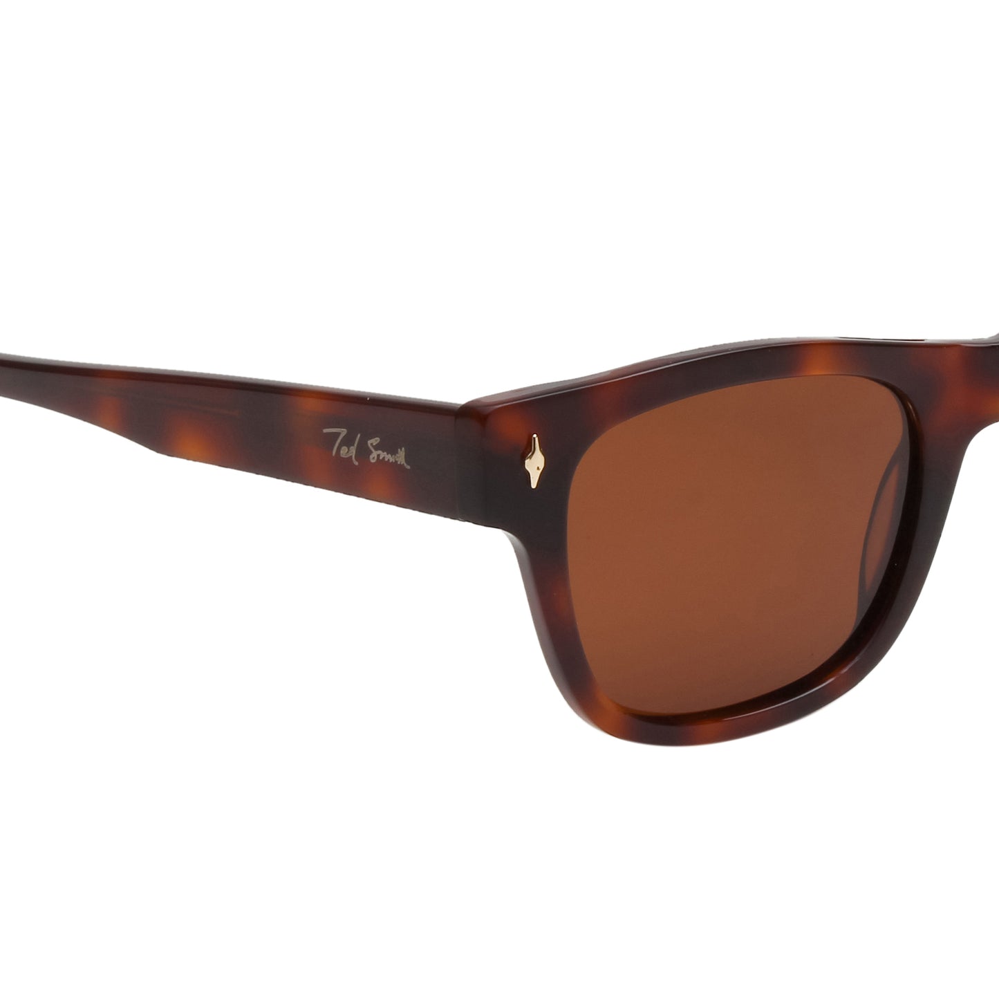 SUN-LORENZO UNISEX WAYFARER ACETATE SUNGLASSES WITH POLARIZED LENS BY TED SMITH (IN 4 COLORS)