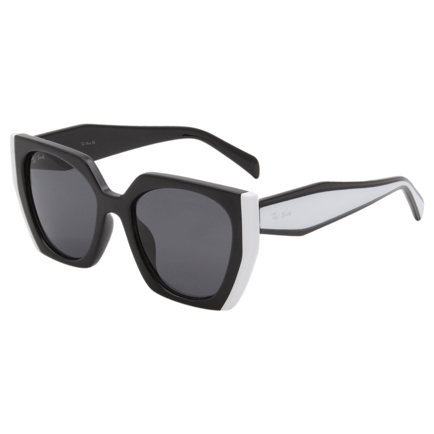 PASSION2 SUNGLASSES (IN 5 COLORS)