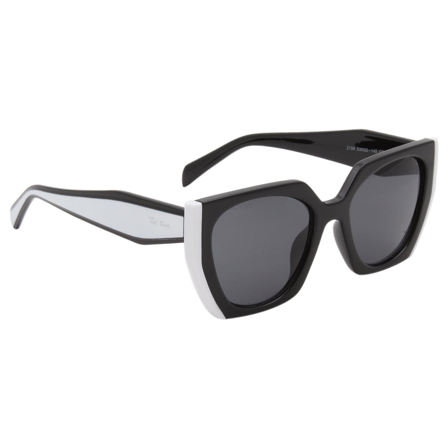 PASSION2 SUNGLASSES (IN 5 COLORS)