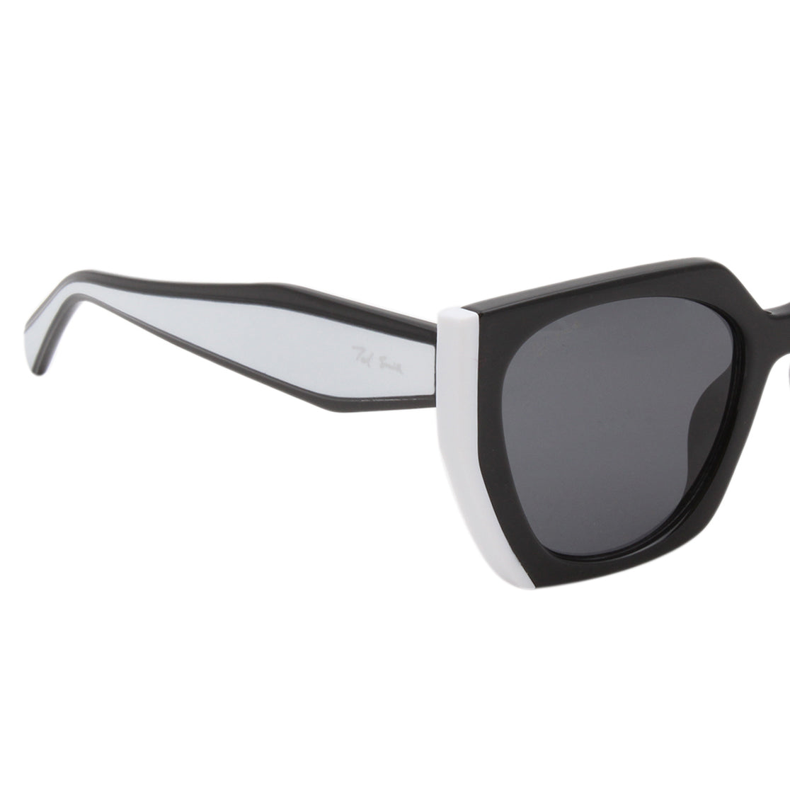 PASSION2 SUNGLASSES (IN 5 COLORS)