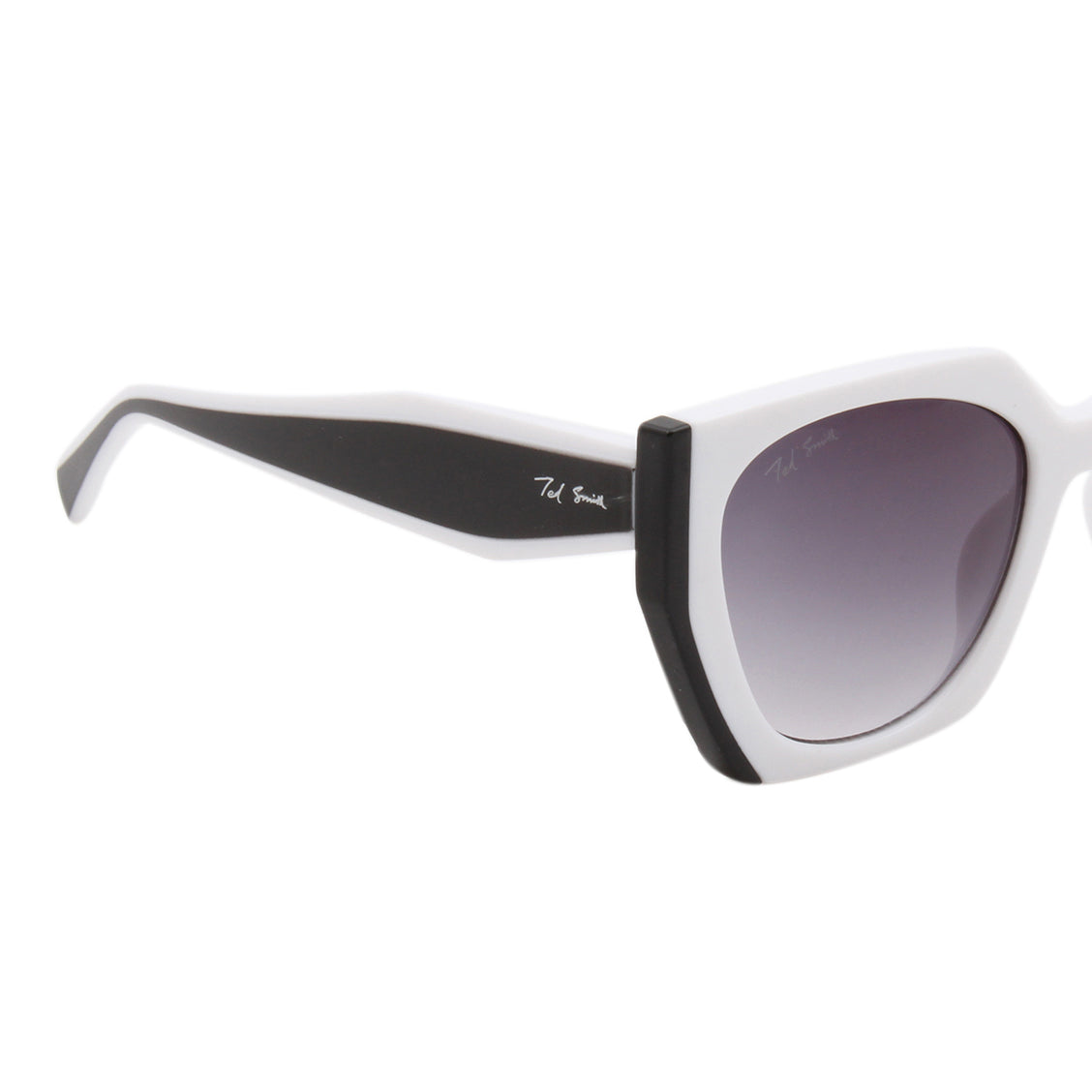 PASSION2 SUNGLASSES (IN 5 COLORS)