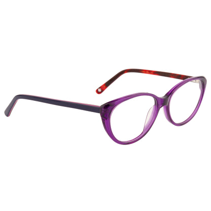 FLANK COMPUTER GLASSES (IN 4 COLORS)