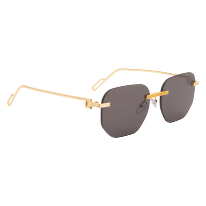 DELTON SUNGLASSES (IN 4 COLORS)