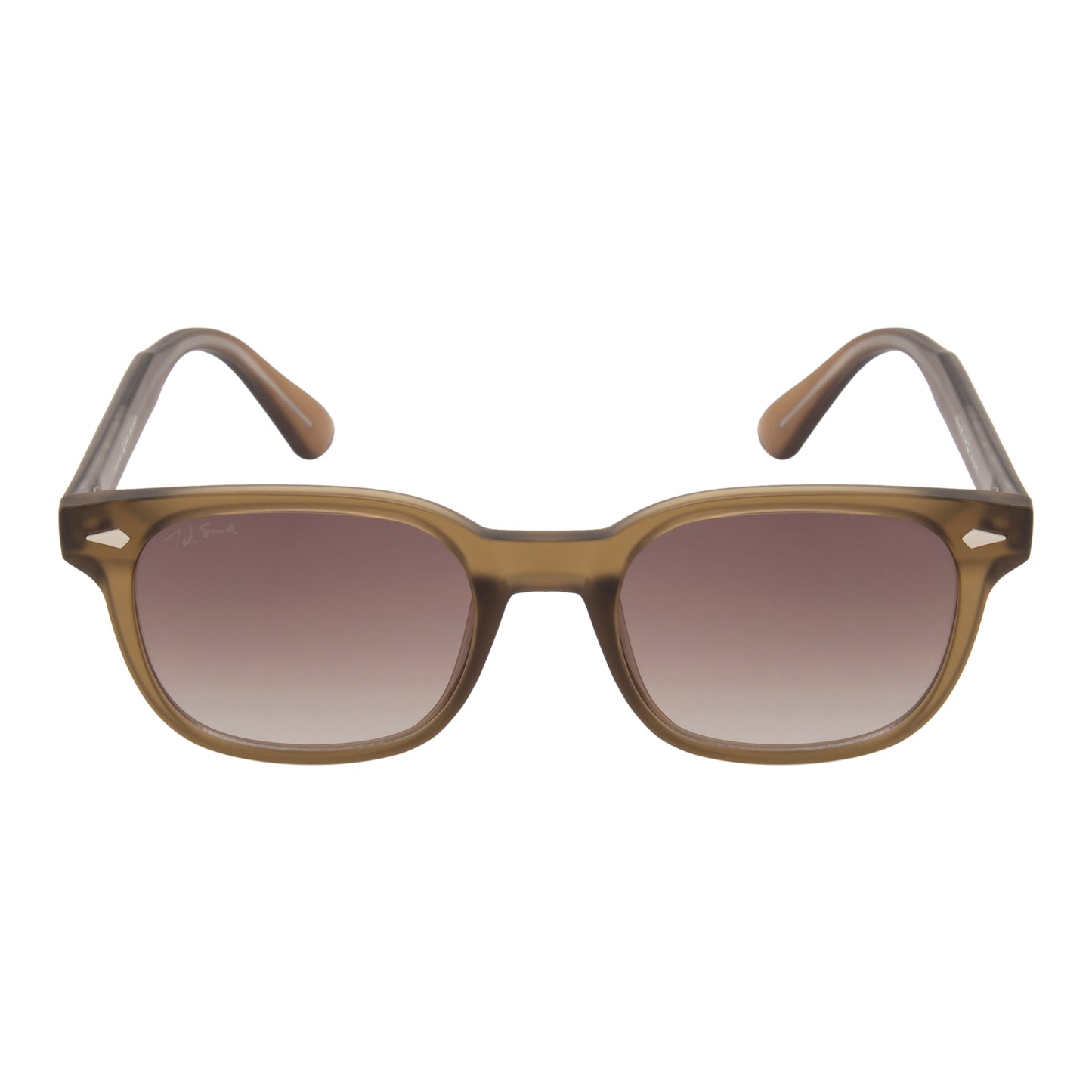 STEWIE SUNGLASSES BY TED SMITH ICONIC (IN 4 COLORS)