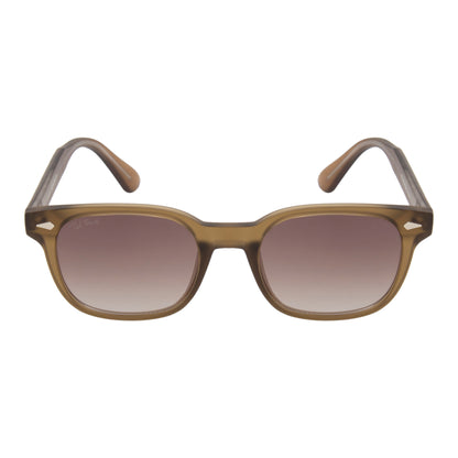 STEWIE SUNGLASSES BY TED SMITH ICONIC (IN 4 COLORS)