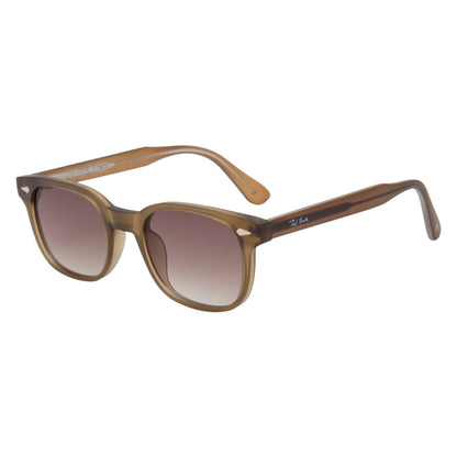 STEWIE SUNGLASSES BY TED SMITH ICONIC (IN 4 COLORS)