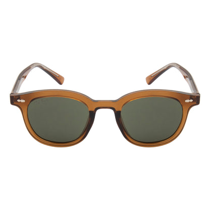 GLANCE SUNGLASSES BY TED SMITH ICONIC (IN 3 COLORS)