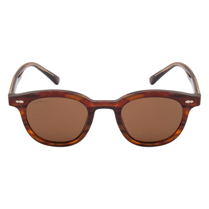 GLANCE SUNGLASSES BY TED SMITH ICONIC (IN 3 COLORS)