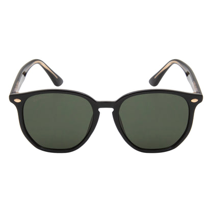 SAGE SUNGLASSES BY TED SMITH ICONIC (IN 3 COLORS)