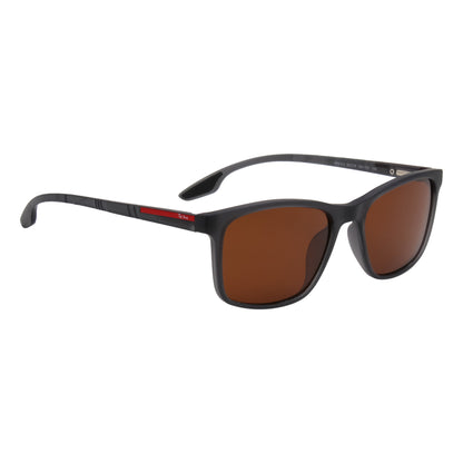 SUN-FRASER SUNGLASSES BY TED SMITH (IN 4 COLORS)