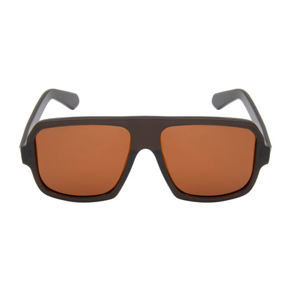 FORD SUNGLASSES (IN 6 COLORS)