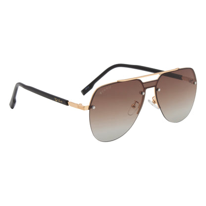 BILLIE SUNGLASSES BY TED SMITH (IN 3 COLORS)