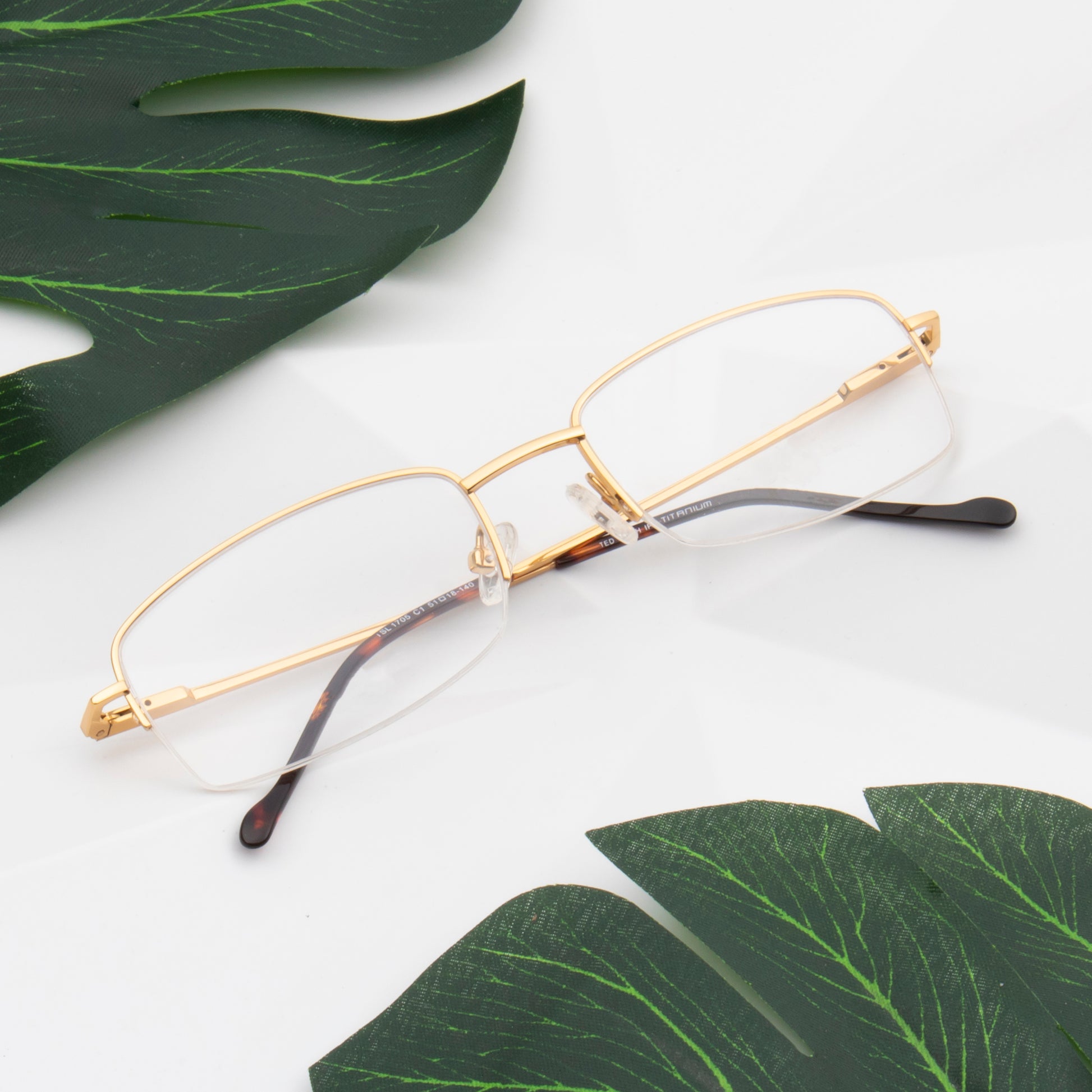 Buy Titanium Eyeglasses for Men Women Online – Ted Smith