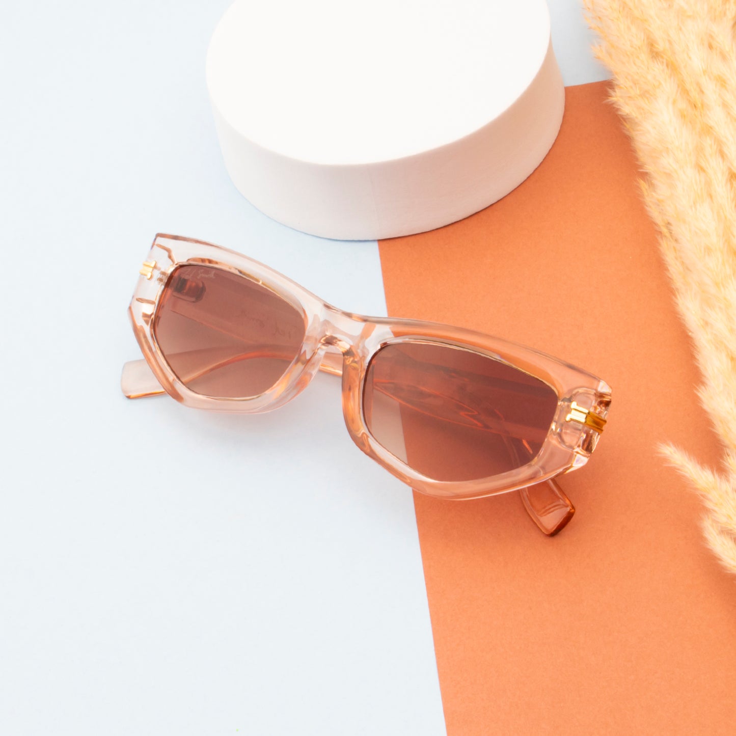 FRENDY TRANSPARENT BROWN CAT EYE SUNGLASSES | EDGY SUNGLASSES