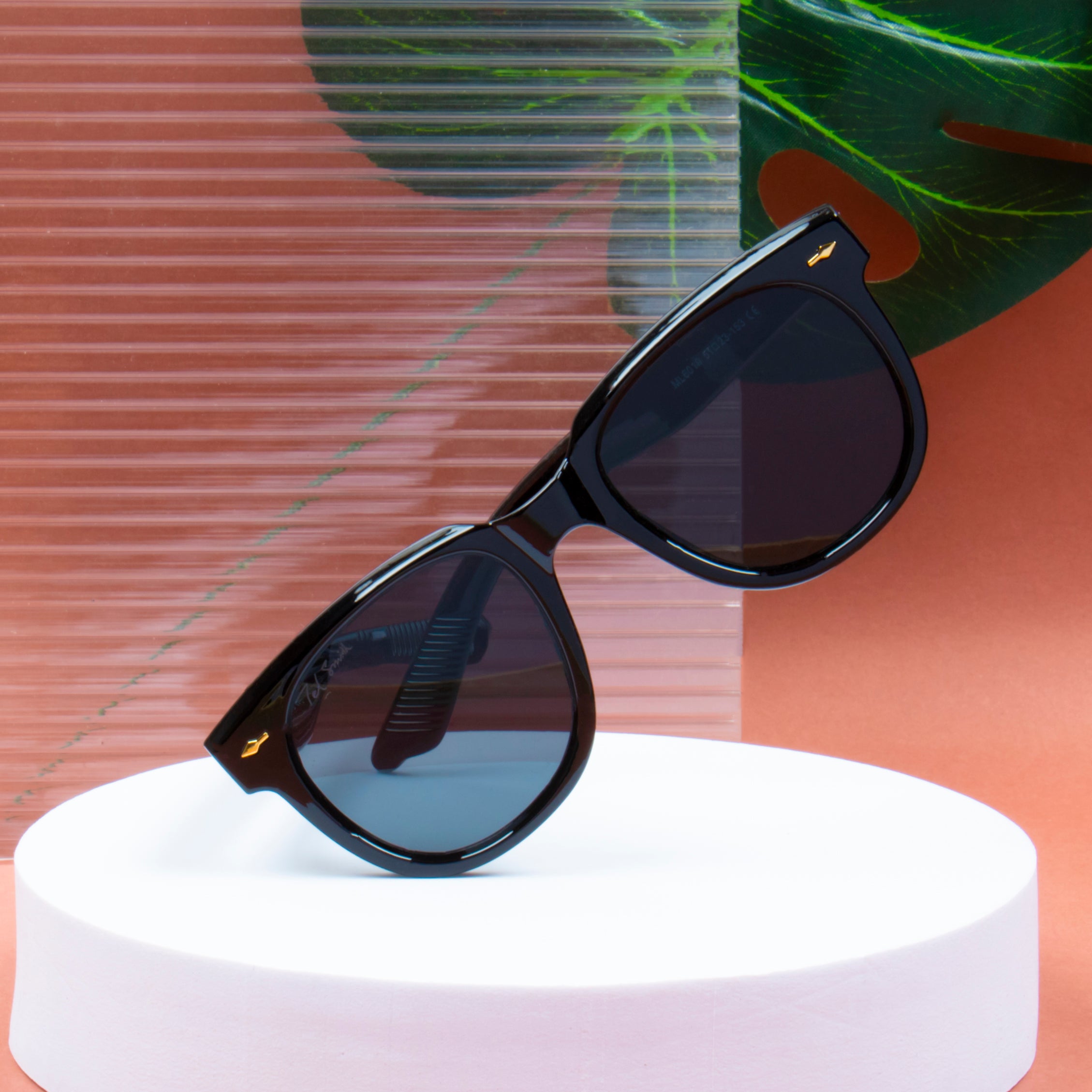 Rue21 Oversized Black Wayfarer Sunglasses | Hamilton Place