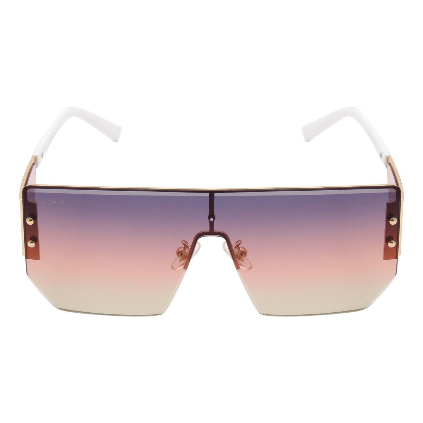 BISON2 SUNGLASSES (IN 4 COLORS)