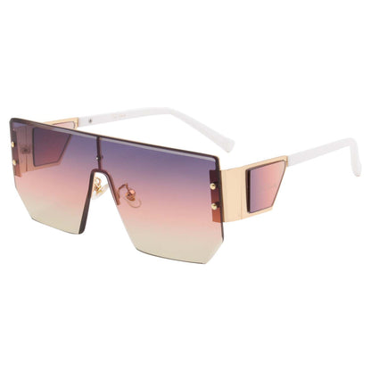 BISON2 SUNGLASSES (IN 4 COLORS)